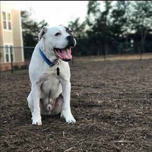 Meet your Posher, Patrick